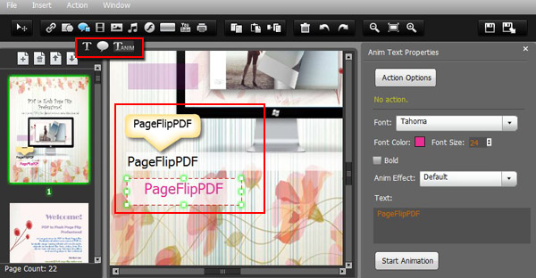 Insert Vivid Text in Flash Page Flip Book Freely With Page Editor