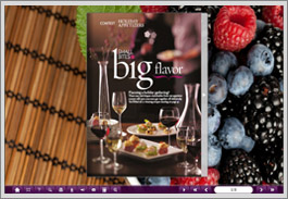 Classical Template of Flash Page Flip Book-Red Wine