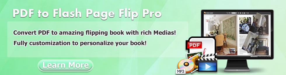 PDF to Flash Flip Professional