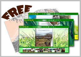 Flash Flip Book Templates of Grass Style