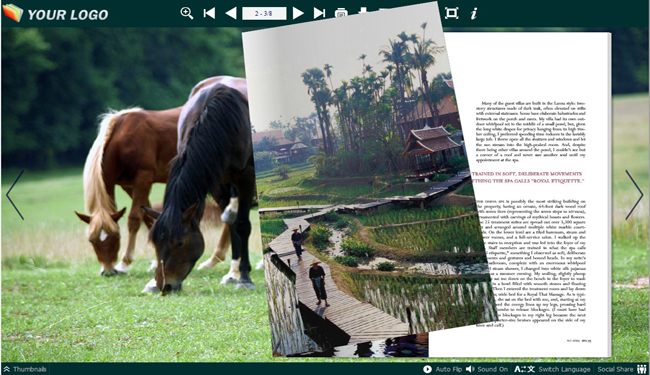 Animal Theme for Flash Page Flip Book