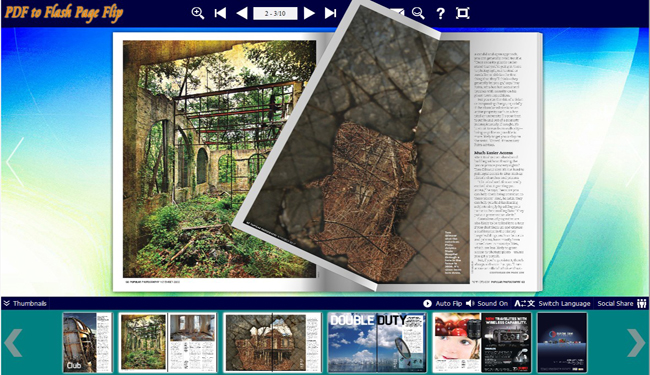 Concise Background Theme for Flash Book screenshot