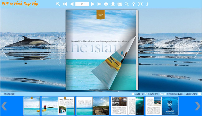 Windows 8 Flash Flip Book theme with Dolphin style full