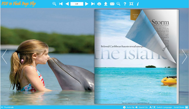 Flash Flip Book theme with Dolphin style