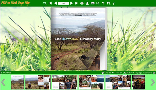 Grass Style for Flash Flip Book 1.0 full
