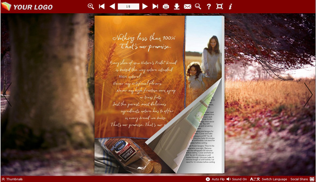 Windows 8 Road Theme for Flash Page Flip Template full