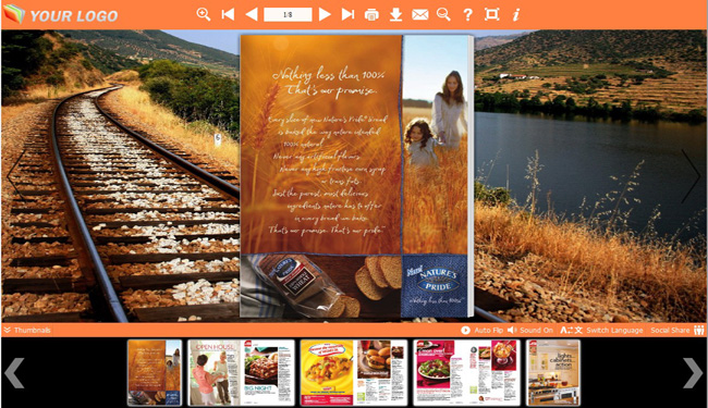 PDF to Flash Page Flip Road Templates