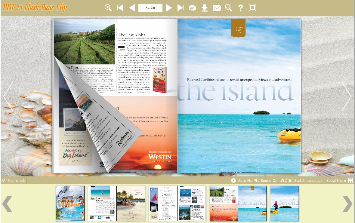 Shell Templates for Flash Flip Book